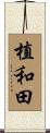 植和田 Scroll