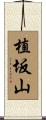 植坂山 Scroll