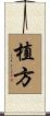 植方 Scroll