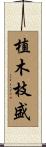 植木枝盛 Scroll