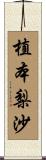 植本梨沙 Scroll