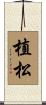 植松 Scroll