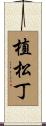 植松丁 Scroll