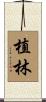 植林 Scroll