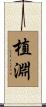 植淵 Scroll