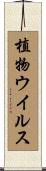 植物ウイルス Scroll