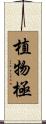 植物極 Scroll