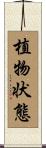 植物状態 Scroll