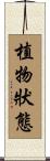 植物狀態 Scroll
