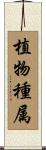 植物種属 Scroll