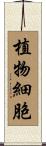 植物細胞 Scroll