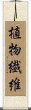 植物繊維 Scroll