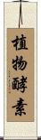 植物酵素 Scroll