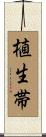 植生帯 Scroll