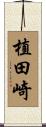 植田崎 Scroll
