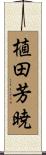植田芳暁 Scroll