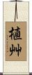 植艸 Scroll