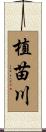 植苗川 Scroll