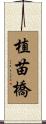 植苗橋 Scroll