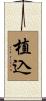 植込 Scroll