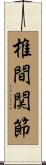 椎間関節 Scroll