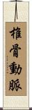 椎骨動脈 Scroll
