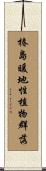 椿島暖地性植物群落 Scroll