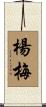 楊梅 Scroll