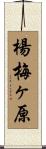 楊梅ヶ原 Scroll