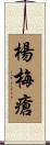 楊梅瘡 Scroll