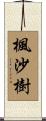 楓沙樹 Scroll