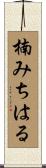 楠みちはる Scroll