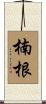 楠根 Scroll