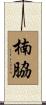 楠脇 Scroll