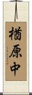 楢原中 Scroll