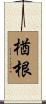 楢根 Scroll