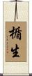 楯生 Scroll