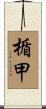 楯甲 Scroll