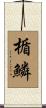 楯鱗 Scroll