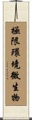 極限環境微生物 Scroll