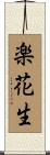 楽花生 Scroll