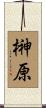 榊原 Scroll