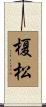 榎松 Scroll