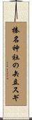 榛名神社の矢立スギ Scroll