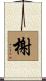 榭 Scroll