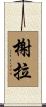 Shela Scroll