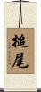 槌尾 Scroll