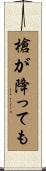 槍が降っても Scroll