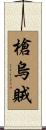 槍烏賊 Scroll