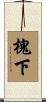 槐下 Scroll